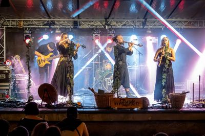 Reportage – Concerts & Festivals – fotografie 3