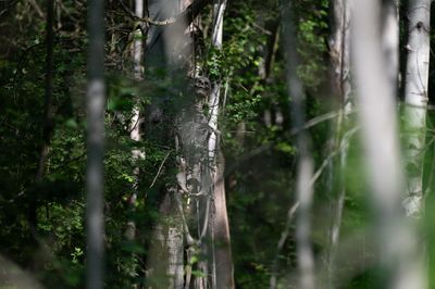 Příběhy z Ravenoru I. – Stíny nad Harmondalem – fotografie 107