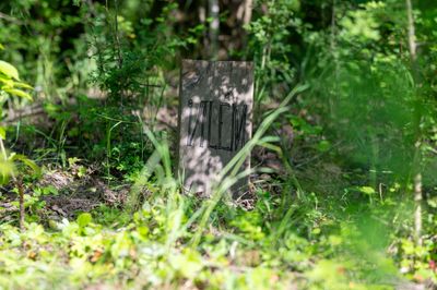 Příběhy z Ravenoru I. – Stíny nad Harmondalem – fotografie 262