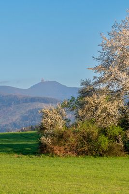 Belleteyn 2023 – fotografie 49