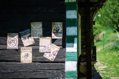Belleteyn 2024 – fotografie 19